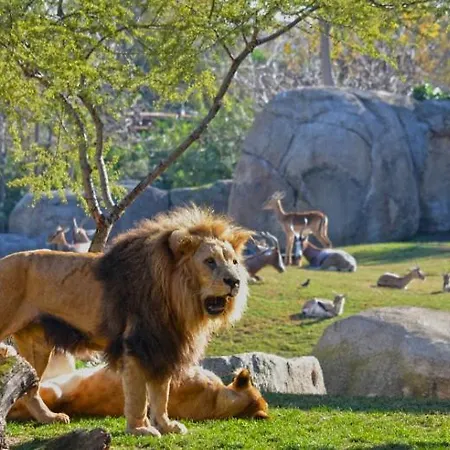 公寓 Parque De Cabecera & Bioparc *