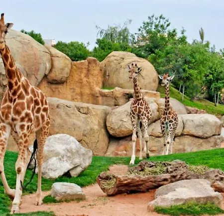 Parque De Cabecera & Bioparc 瓦伦西亚