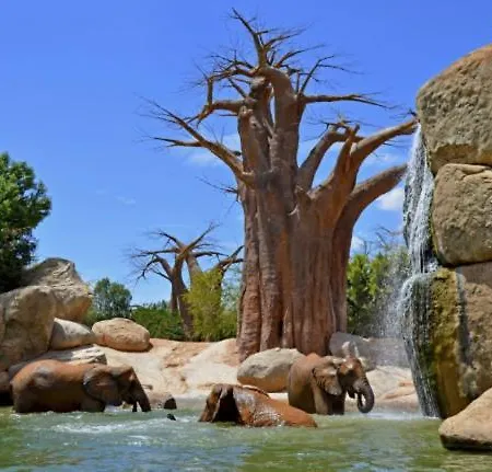 Parque De Cabecera & Bioparc 公寓 瓦伦西亚
