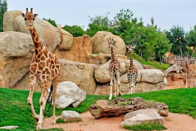 Parque De Cabecera & Bioparc Valencia