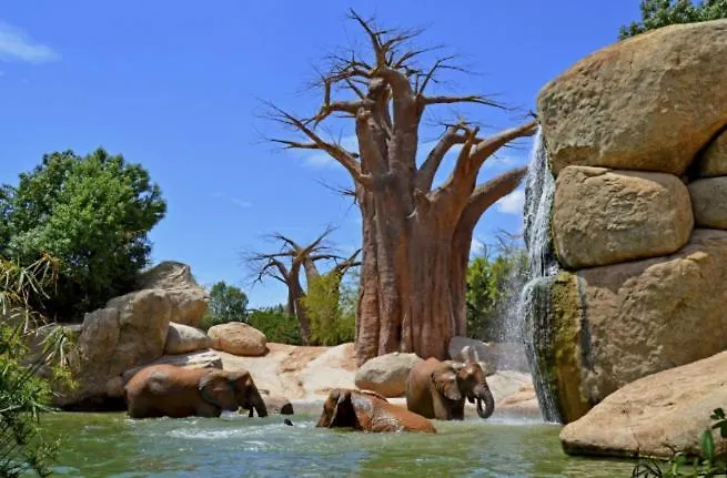 Parque De Cabecera & Bioparc Apartment Valencia