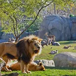 Διαμέρισμα Parque De Cabecera & Bioparc *